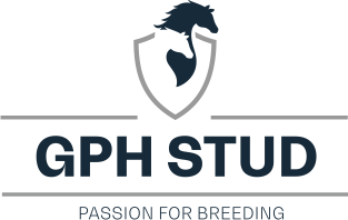 GPH Stud